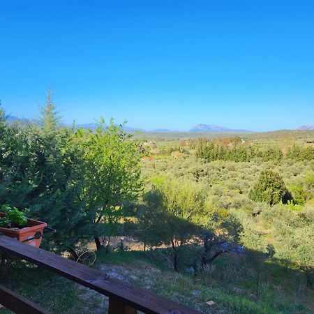 Panoramic House Oliena Exterior foto