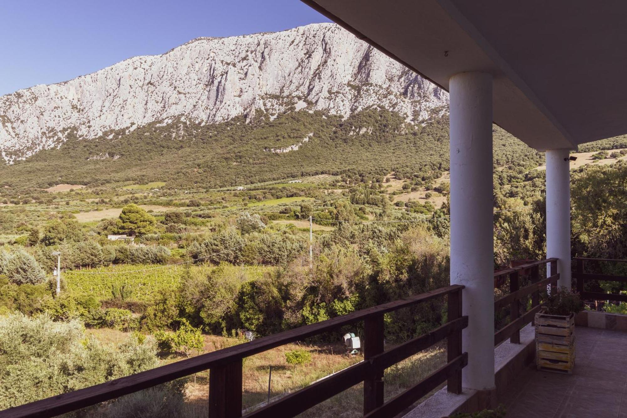 Panoramic House Oliena Exterior foto