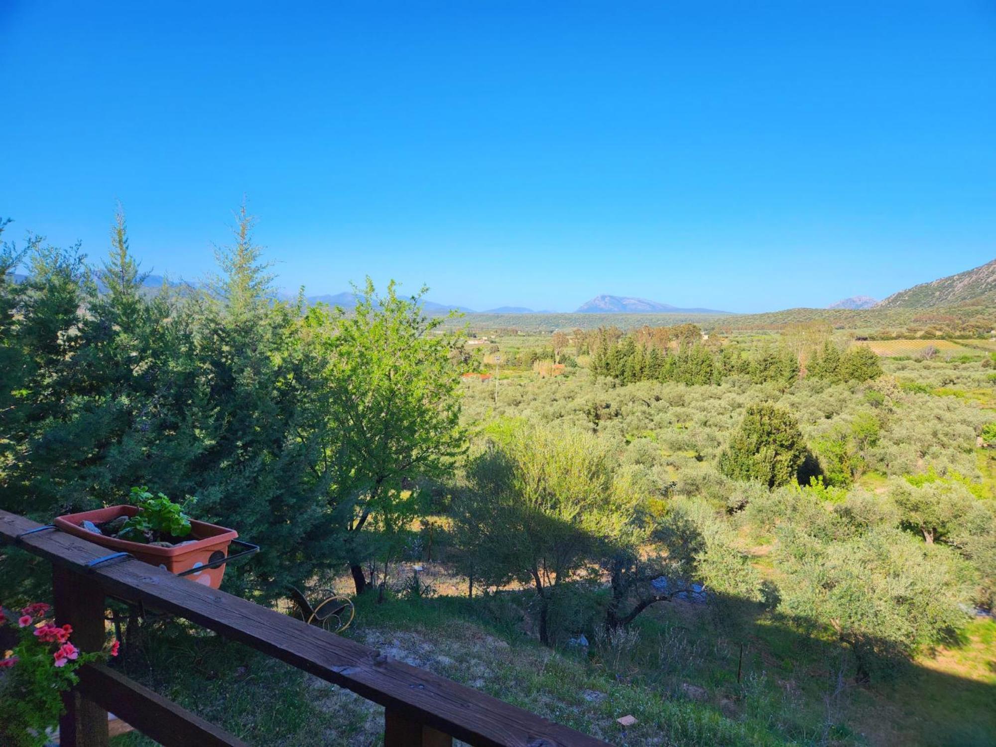 Panoramic House Oliena Exterior foto