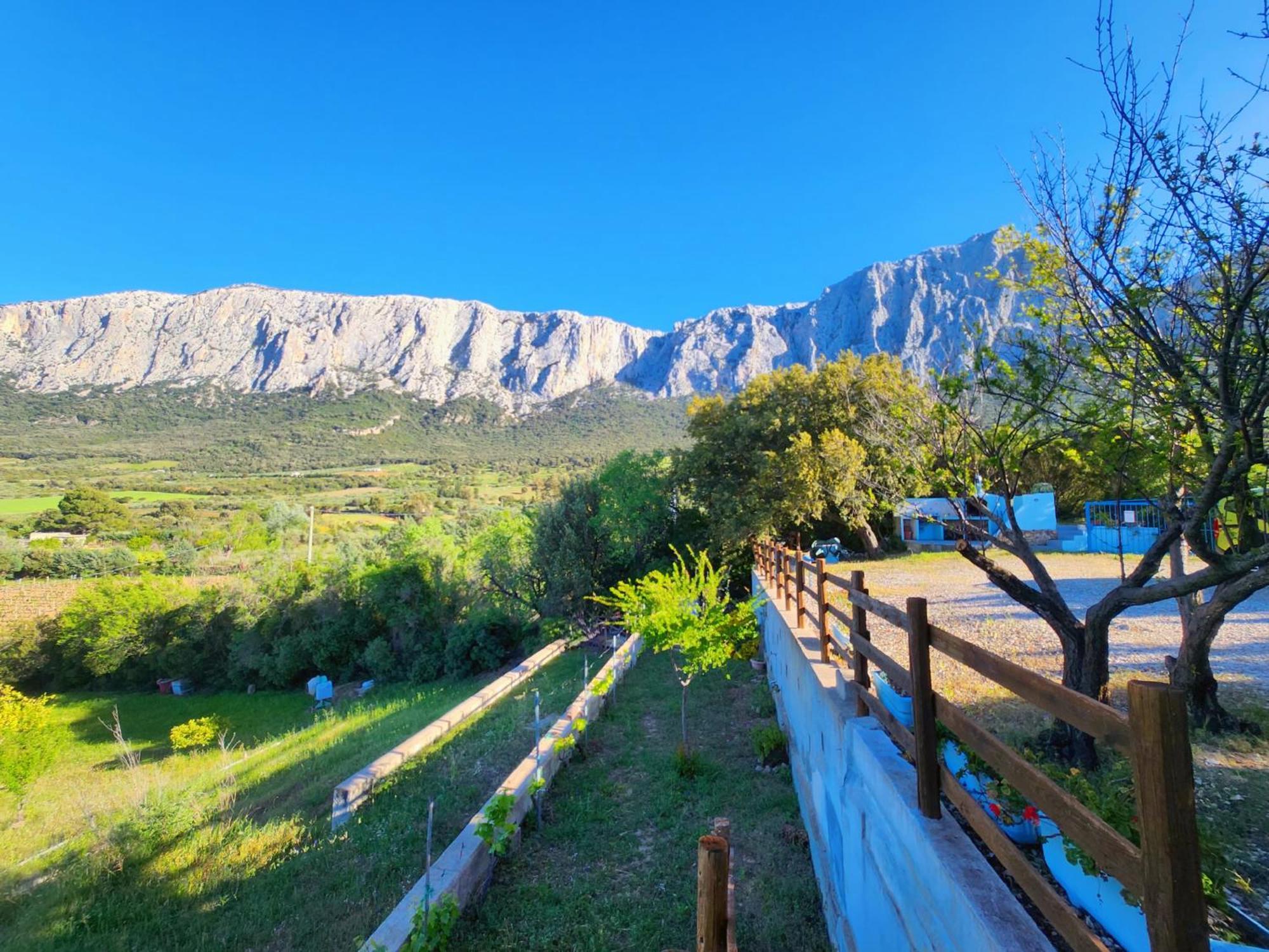 Panoramic House Oliena Exterior foto