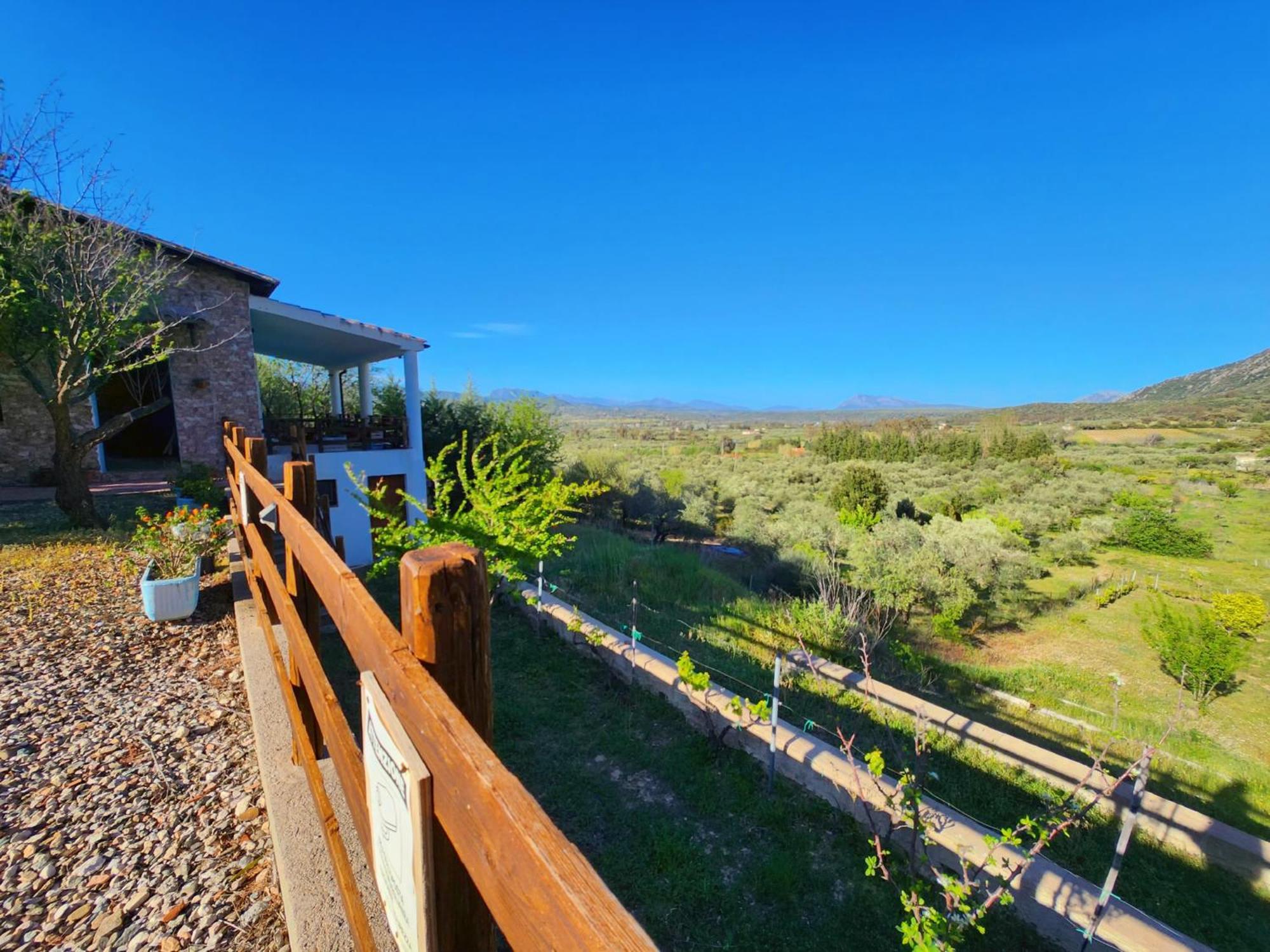 Panoramic House Oliena Exterior foto