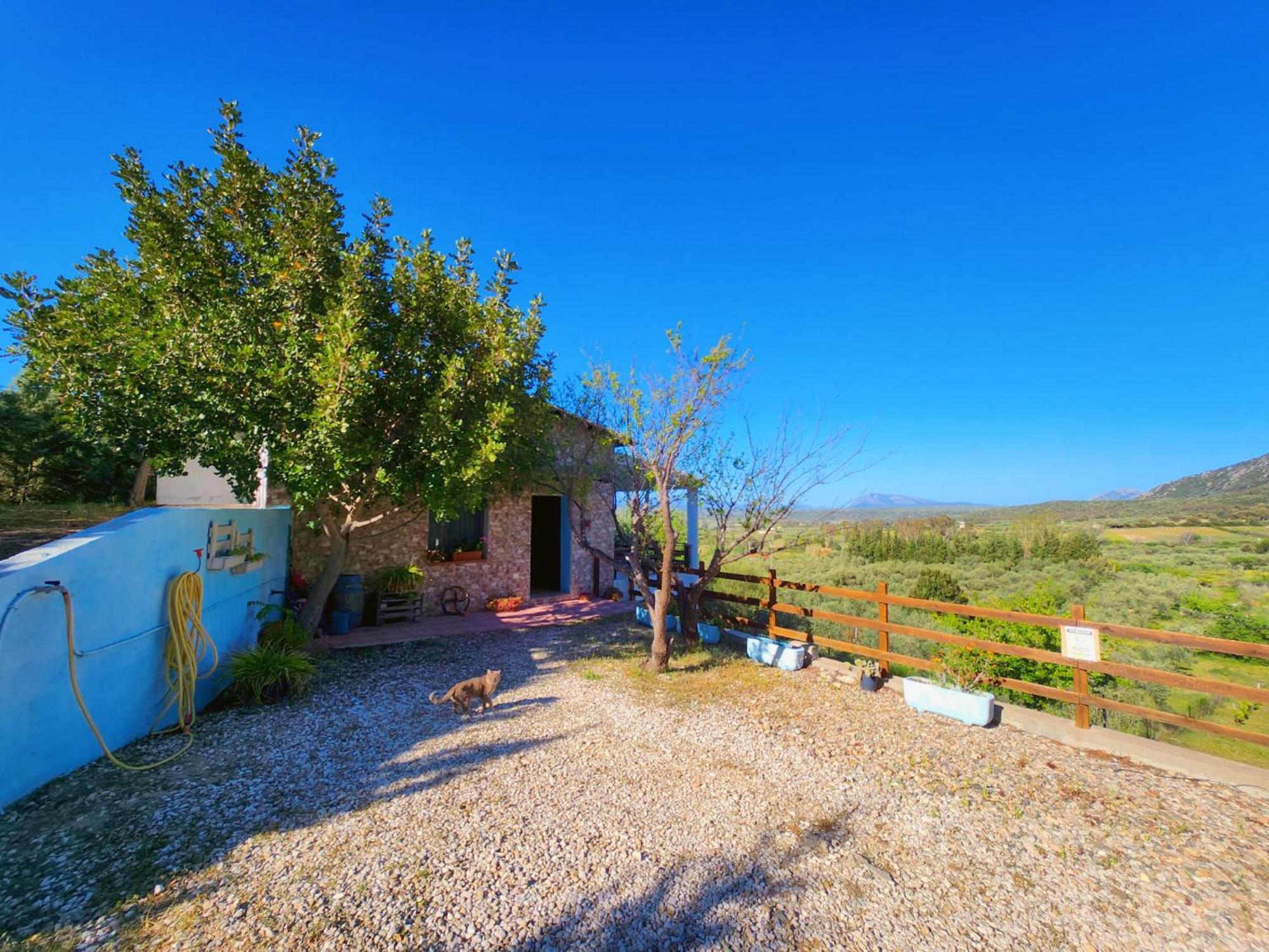 Panoramic House Oliena Exterior foto